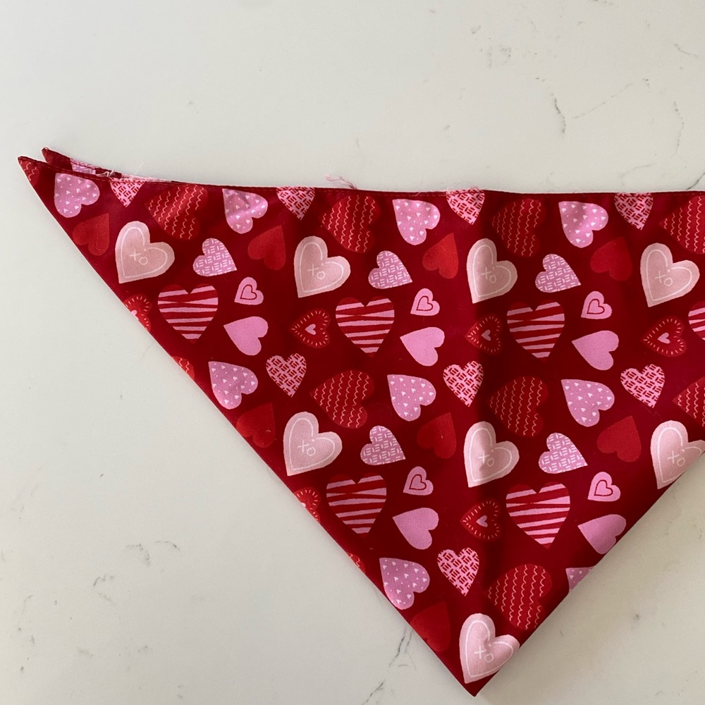 Valentine’s Day Bandana